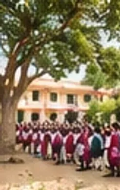 Illustration of students gathered under a large tree on the school grounds